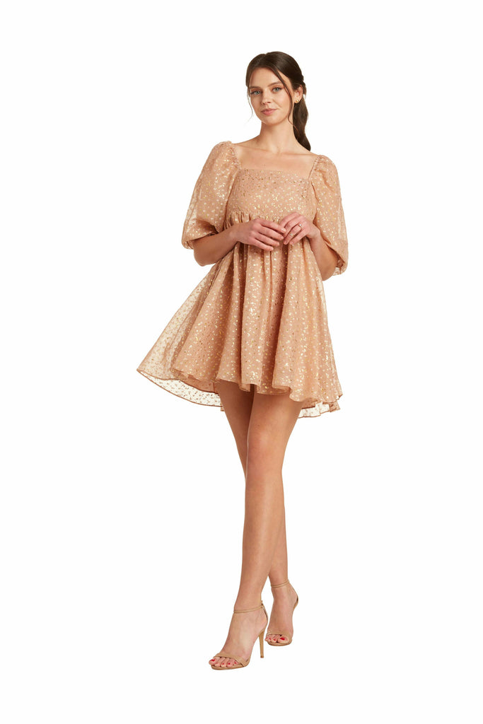 Blush Tunic Mini Dress